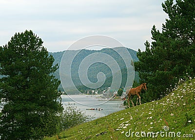 Lake Teletskoye. Altai Mountains Stock Photo