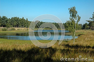 Lake in Teverner Heide, Germany Stock Photo