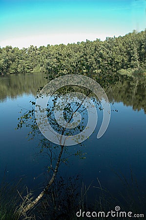 Lake in Teverner Heide, Germany Stock Photo