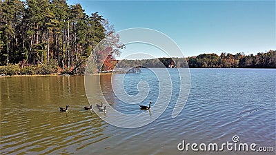 Lake Thom-A-Lex Stock Photo