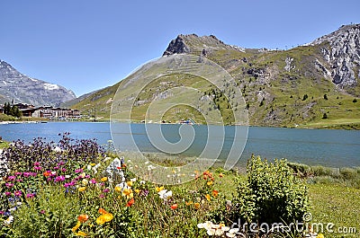 Lake of Tignes and flowers in France Stock Photo