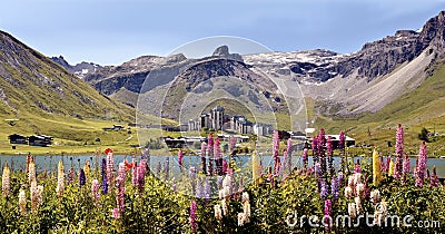 Lake of Tignes and flowers in France Stock Photo