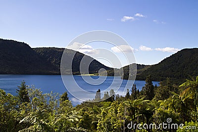 Lake Tikitapu (Blue Lake), Rotorua, New Zealand Stock Photo