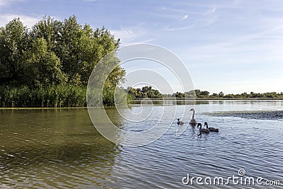 Lake Tisza at Poroszlo Stock Photo