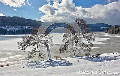 Lake Titisee in winter. Black Forest, Germany. Stock Photo