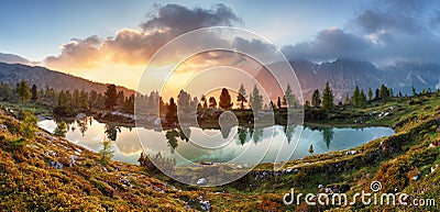 Lake, tree reflection in water Stock Photo