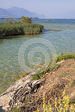 Lake vegetation and clear waters in San Biagio island, Manerba del garda, Italy Stock Photo