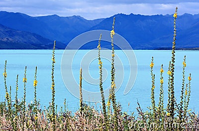 Lake Wakatipu New Zealand NZ NZL Stock Photo