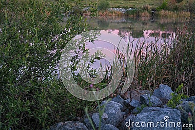 Lake water view stone grass Stock Photo