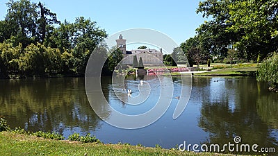 Lake with waterbirds in French chateau garden Stock Photo