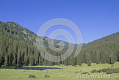 Lake Wildsee in the Ester mountains Stock Photo