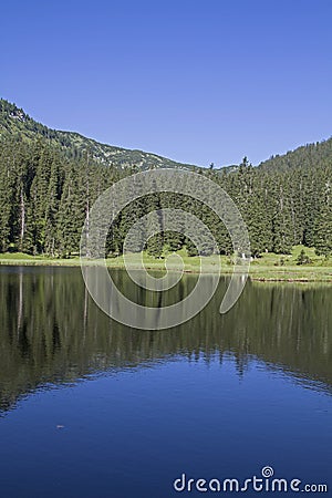 Lake Wildsee in the Ester mountains Stock Photo