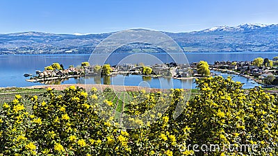 Lakefront Subdivision on Okanagan Lake West Kelowna British Columbia Canada Stock Photo