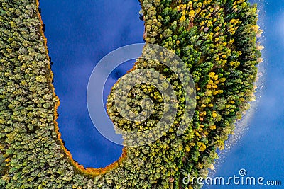 Lakes in forest, top view Stock Photo