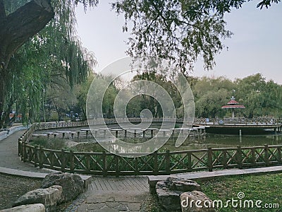 Lakeside green space in the park Stock Photo