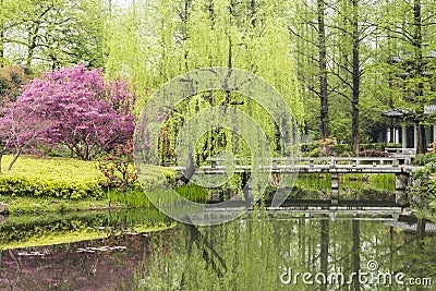 The lakeside green trees and peach blossom Stock Photo