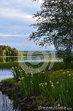 Lakeside landscape in Puolanka. Finnish nightless night Stock Photo