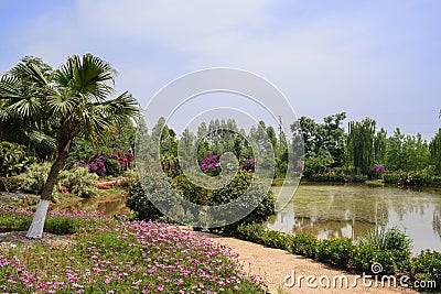 Lakeside path in flowers at sunny summer noon Stock Photo