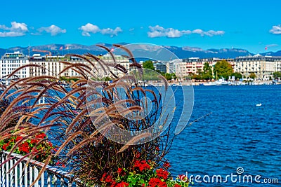 Lakeside promenade of the swiss city Geneva viewed behind a flow Stock Photo