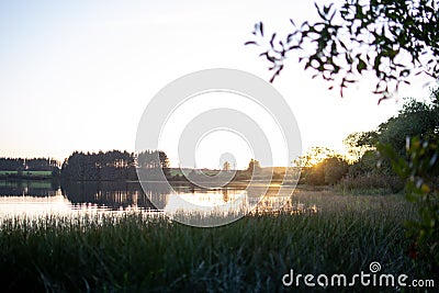 Lakeside reeds sunset loch, Scotland, beautiful view Stock Photo