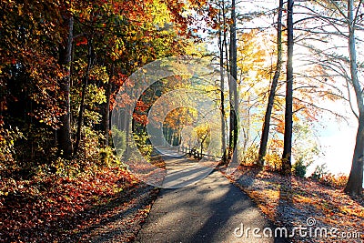 Lakeside Walking Trail in Autumn Stock Photo