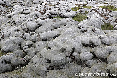 Iceland- Mossy Lava Fields-Lava flow from the Laki fissure Stock Photo