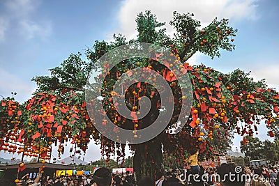 23 Jan 2023 the Lam Tsuen wishing trees, Tai Po, HK Editorial Stock Photo