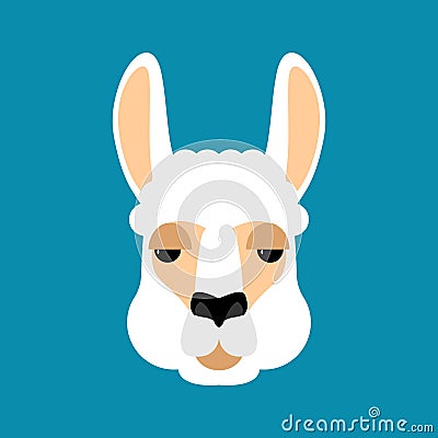 Lama Alpaca face isolated. Animal head. Vector illustration Vector Illustration