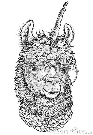 LAMA / llamacorn in eyeglasses, Hipster style drawing, isolated on white. Object for advertisement, web page design, poster, banne Vector Illustration