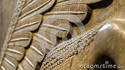 Lamassu wing detail Stock Photo