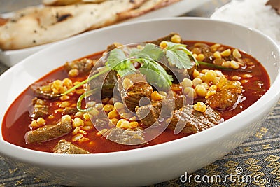 Lamb Curry with Naan Bread Stock Photo