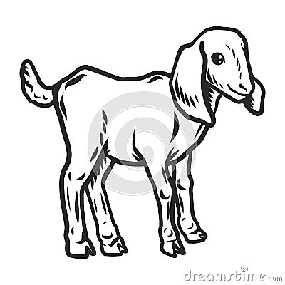 Lamb icon, hand drawn style Vector Illustration