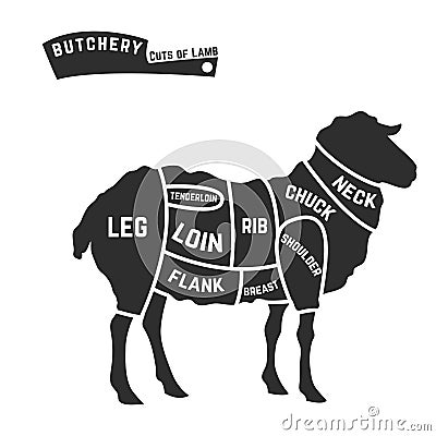 Lamb or mutton cuts diagram. Butcher shop black on Vector Illustration