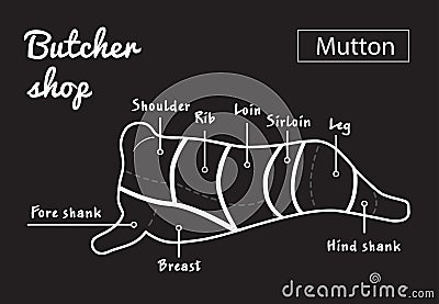 Lamb or mutton cuts diagram. Butcher shop. Vector Illustration