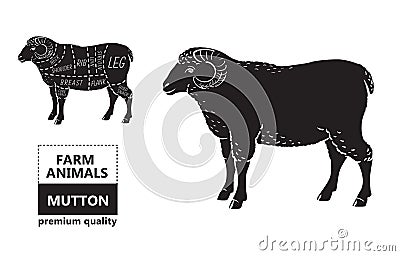 Lamb or mutton cuts diagram. Butcher shop. Vector Illustration