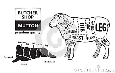 Lamb or mutton cuts diagram. Butcher shop. Vector Illustration