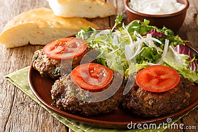 Lamb Patties Chapli Kebab with fresh vegetables close up in the plate. Horizontal Stock Photo