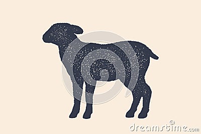 Lamb, sheep. Concept design of farm animals Vector Illustration