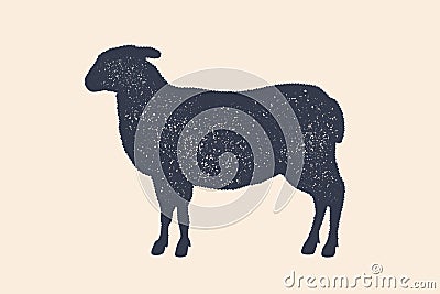 Lamb, sheep. Vintage logo, retro print, poster for Butchery Vector Illustration