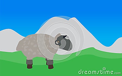 Lamb Walks, Eats the Grass. EPS10. Vector Illustration