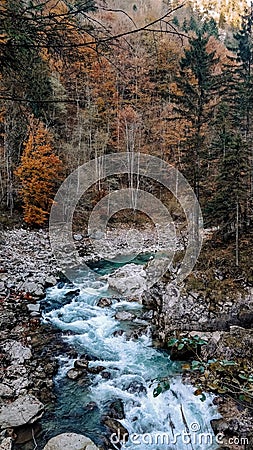 Lammerklamm Scheffau Austria view on the mountainriver with autumn forest in background Stock Photo