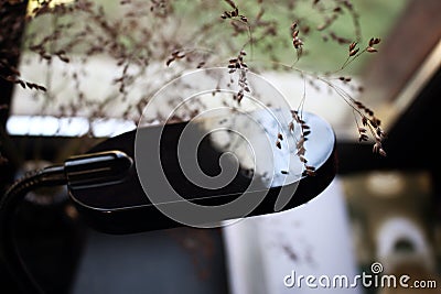 Lamp and dry grass floral decoration in front of a window romantic calm interior environment Stock Photo