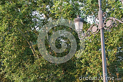 Lamp in a park with trees Stock Photo