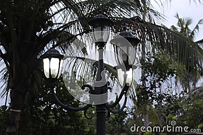 Lamp post beside coconut tree in a evening Stock Photo