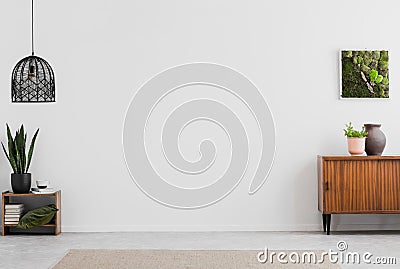 Lamp and poster in white empty living room interior with plants and wooden cabinet. Real photo. Place for your furniture Stock Photo
