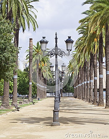 Lampposts with palm trees Stock Photo