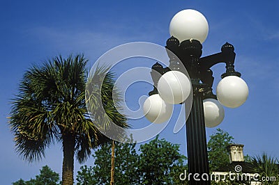 Lampposts with palm trees in background, Charleston, SC Stock Photo