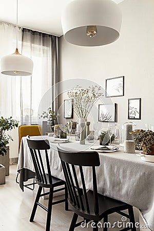 Lamps above black chairs at table in dining room interior with posters Stock Photo