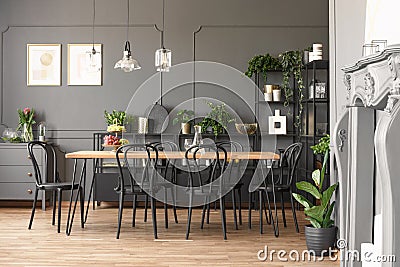 Lamps above wooden table and black chairs in grey dining room in Stock Photo