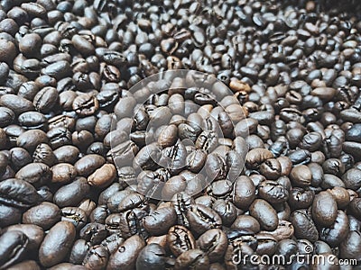 Lanang Coffee bean roasted medium to dark Stock Photo